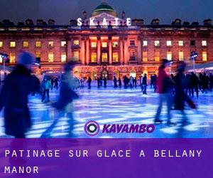 Patinage sur glace à Bellany Manor
