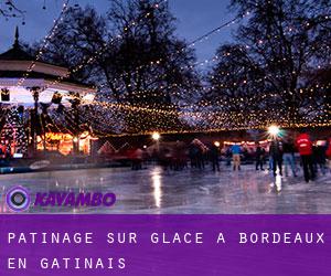 Patinage sur glace à Bordeaux-en-Gâtinais