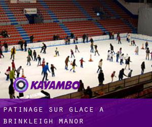 Patinage sur glace à Brinkleigh Manor