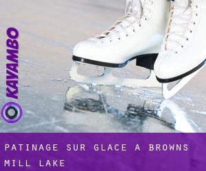 Patinage sur glace à Browns Mill Lake