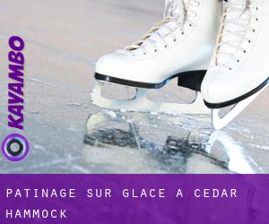 Patinage sur glace à Cedar Hammock