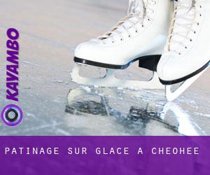 Patinage sur glace à Cheohee
