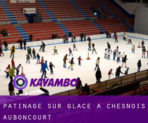 Patinage sur glace à Chesnois-Auboncourt