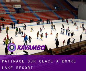Patinage sur glace à Domke Lake Resort