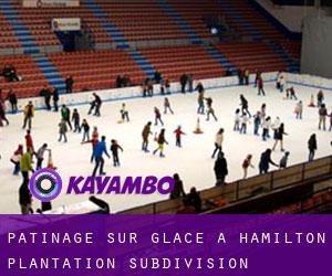 Patinage sur glace à Hamilton Plantation Subdivision