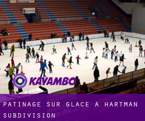 Patinage sur glace à Hartman Subdivision