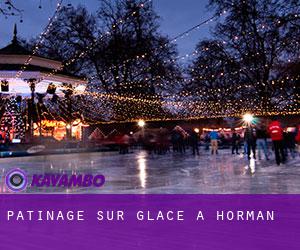 Patinage sur glace à Horman