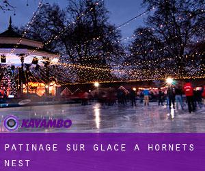 Patinage sur glace à Hornets Nest