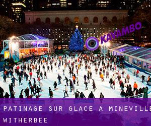 Patinage sur glace à Mineville-Witherbee