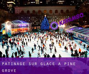 Patinage sur glace à Pine Grove