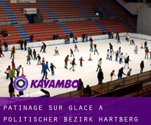 Patinage sur glace à Politischer Bezirk Hartberg