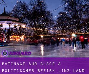 Patinage sur glace à Politischer Bezirk Linz Land