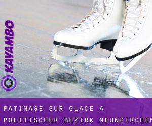 Patinage sur glace à Politischer Bezirk Neunkirchen