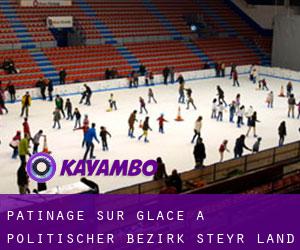 Patinage sur glace à Politischer Bezirk Steyr-Land