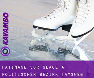 Patinage sur glace à Politischer Bezirk Tamsweg