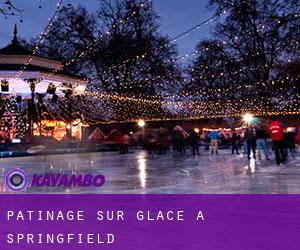Patinage sur glace à Springfield Patinage sur glace à Springfield