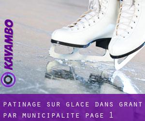 Patinage sur glace dans Grant par municipalité - page 1