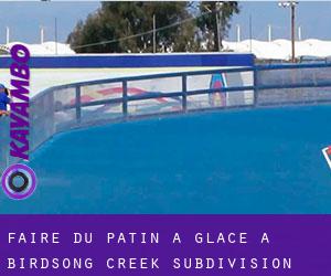 Faire du patin à glace à Birdsong Creek Subdivision