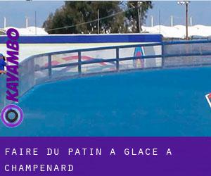Faire du patin à glace à Champenard