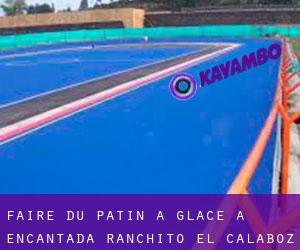 Faire du patin à glace à Encantada-Ranchito-El Calaboz