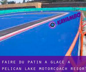 Faire du patin à glace à Pelican Lake Motorcoach Resort