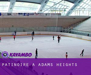 Patinoire à Adams Heights
