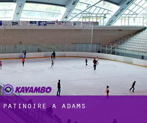 Patinoire à Adams