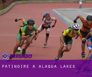 Patinoire à Alaqua Lakes