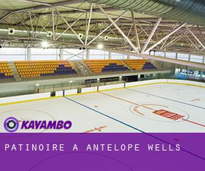 Patinoire à Antelope Wells