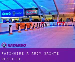 Patinoire à Arcy-Sainte-Restitue