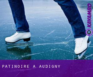 Patinoire à Audigny