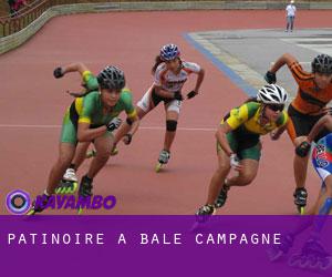 Patinoire à Bâle Campagne Patinoire à Bâle Campagne