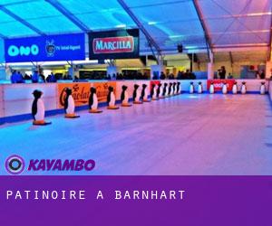 Patinoire à Barnhart