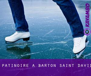 Patinoire à Barton Saint David