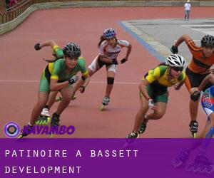 Patinoire à Bassett Development