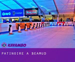 Patinoire à Beamud