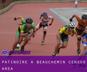 Patinoire à Beauchemin (census area)