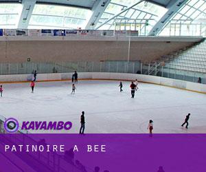 Patinoire à Bee