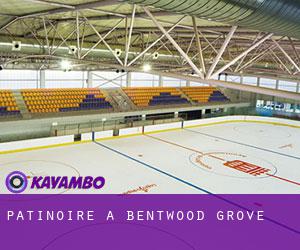 Patinoire à Bentwood Grove