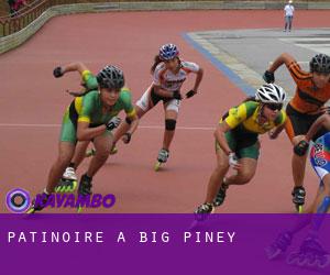 Patinoire à Big Piney
