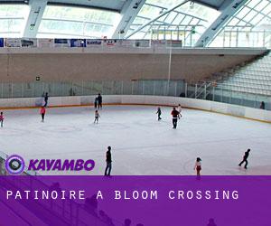 Patinoire à Bloom Crossing