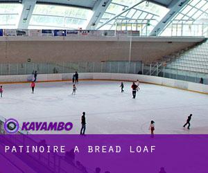Patinoire à Bread Loaf