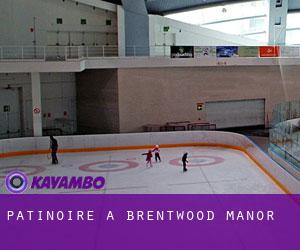 Patinoire à Brentwood Manor