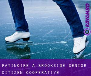 Patinoire à Brookside Senior Citizen Cooperative