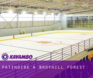 Patinoire à Broyhill Forest