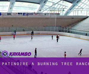 Patinoire à Burning Tree Ranch
