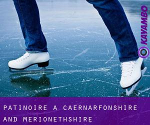 Patinoire à Caernarfonshire and Merionethshire