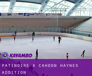 Patinoire à Cahoon Haynes Addition