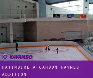 Patinoire à Cahoon Haynes Addition