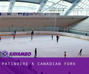 Patinoire à Canadian Fork